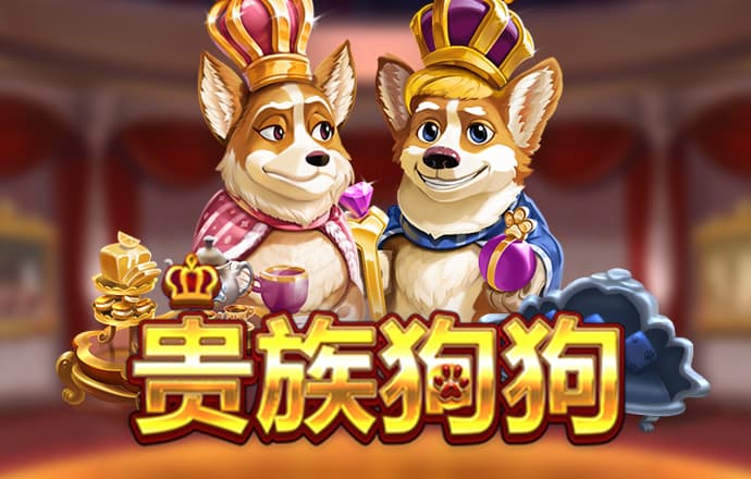 大红鹰dhy6563